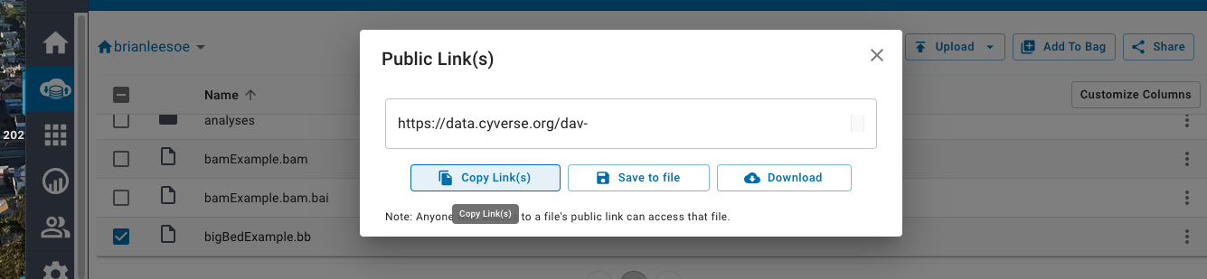 CyVerse confirmation dialog displaying the generated public link URL