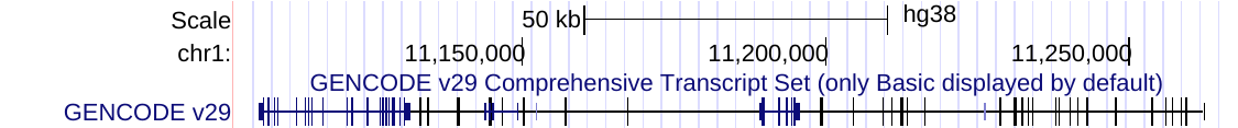 GENCODE gene tracks in dense display mode collapsed into a single line per track