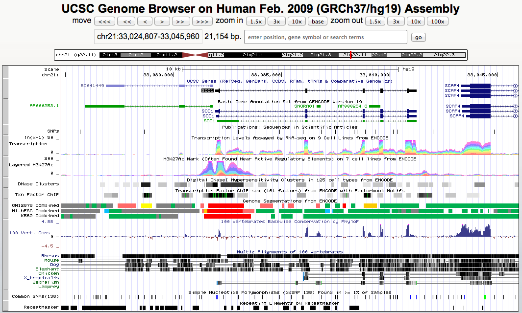 ENCODE tracks in the Genome Browser showing histone marks and transcription factors
