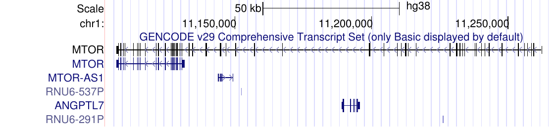 GENCODE gene tracks in full display mode showing each transcript individually