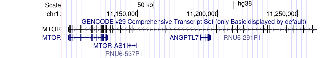 GENCODE gene tracks in pack display mode with labeled transcripts at reduced height