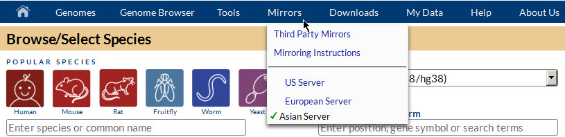Server selection dropdown for choosing between US and European mirror sites