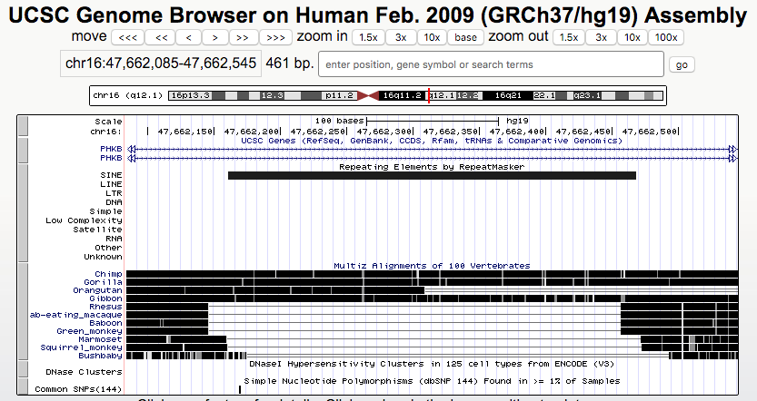Browser session showing AluY repeat element BLAT alignment results