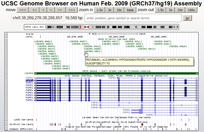 Browser session showing OMIM disease gene annotations
