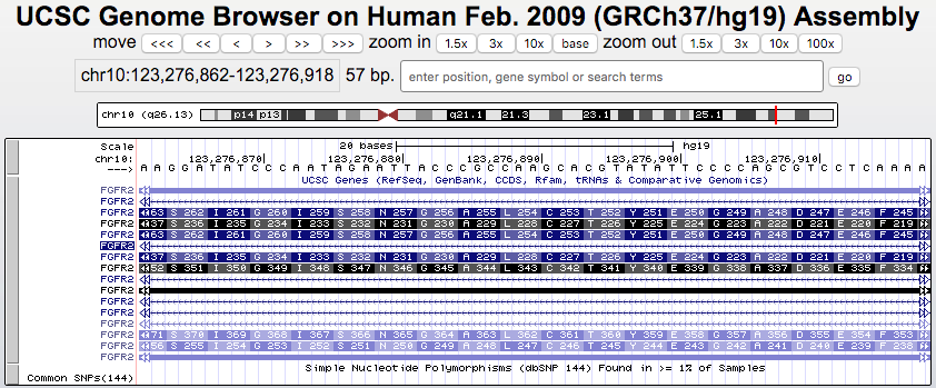 Browser session showing codon numbering on gene transcripts