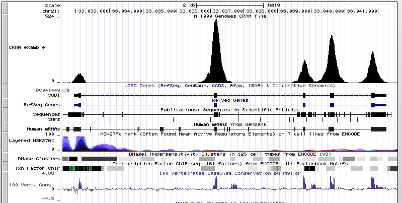 Browser session displaying a 1000 Genomes CRAM file with read alignment density