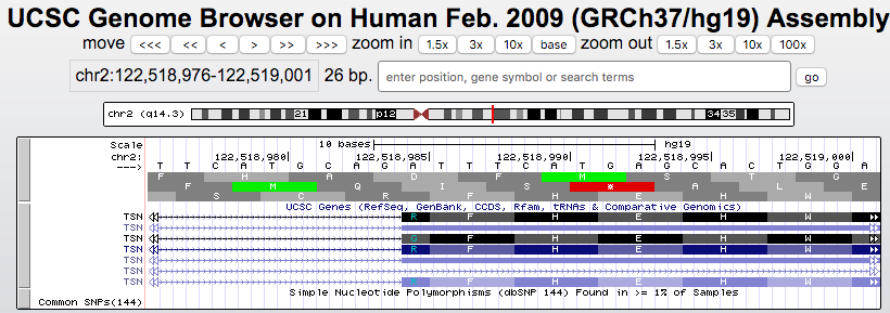 Browser session showing a split codon between splice sites in the hg19 assembly