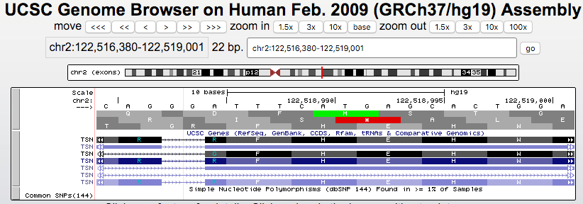 Browser session using multi-region exon-only view to show a split codon more clearly