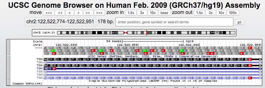 Browser session showing stop codons highlighted in the hg19 assembly