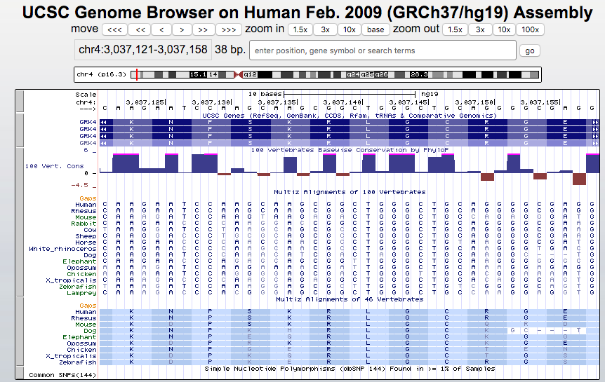 Browser session highlighting wobble base positions in codon display