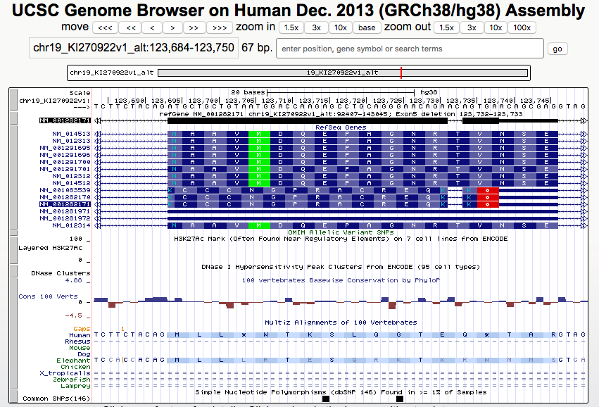 Browser session showing RefSeq gene reading frames in hg38